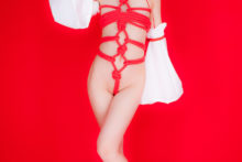 Touhou – Glossy Rabbit – Inubashiri Momiji (531)