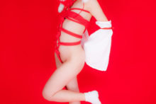 Touhou – Glossy Rabbit – Inubashiri Momiji (537)
