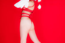 Touhou – Glossy Rabbit – Inubashiri Momiji (545)