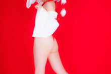 Touhou – Glossy Rabbit – Inubashiri Momiji (547)