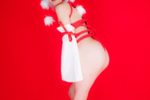 Touhou – Glossy Rabbit – Inubashiri Momiji (557)