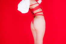 Touhou – Glossy Rabbit – Inubashiri Momiji (563)