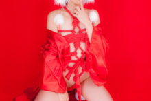 Touhou – Glossy Rabbit – Inubashiri Momiji (574)