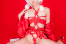 Touhou – Glossy Rabbit – Inubashiri Momiji (611)