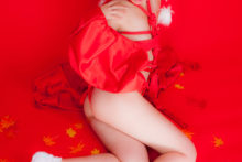 Touhou – Glossy Rabbit – Inubashiri Momiji (625)