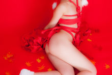Touhou – Glossy Rabbit – Inubashiri Momiji (628)