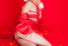 Touhou – Glossy Rabbit – Inubashiri Momiji (635)