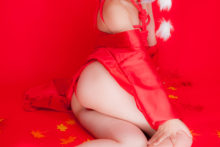 Touhou – Glossy Rabbit – Inubashiri Momiji (637)