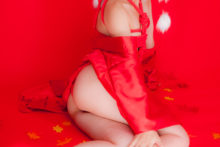 Touhou – Glossy Rabbit – Inubashiri Momiji (638)