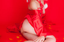 Touhou – Glossy Rabbit – Inubashiri Momiji (639)