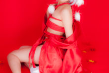 Touhou – Glossy Rabbit – Inubashiri Momiji (651)