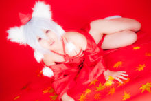 Touhou – Glossy Rabbit – Inubashiri Momiji (662)