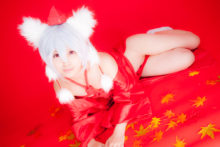 Touhou – Glossy Rabbit – Inubashiri Momiji (663)