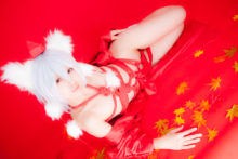 Touhou – Glossy Rabbit – Inubashiri Momiji (668)