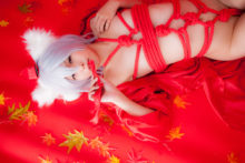 Touhou – Glossy Rabbit – Inubashiri Momiji (673)