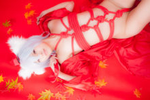 Touhou – Glossy Rabbit – Inubashiri Momiji (681)