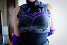Fate – Shielder (11)