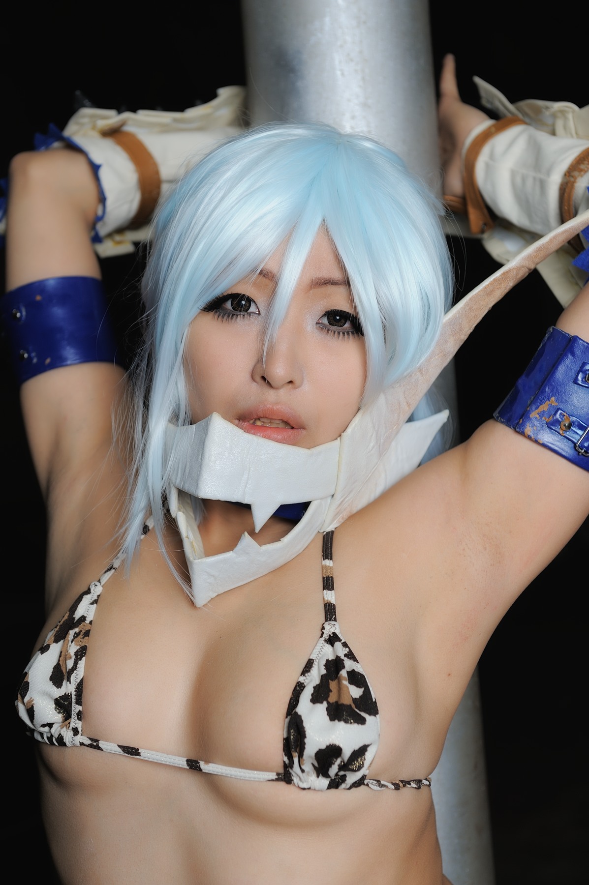 Monster Hunter – Akiton