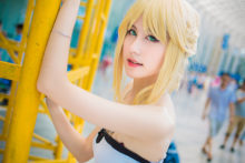 Fate – Saber (106)