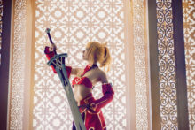 Fate – Saber (201)