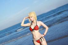 Fate – Saber (227)
