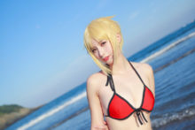 Fate – Saber (229)