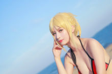 Fate – Saber (238)