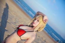 Fate – Saber (239)