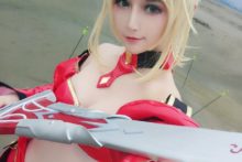 Fate – Saber (245)
