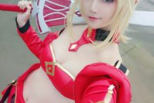 Fate – Saber (246)