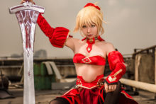 Fate – Saber (253)