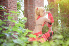 Fate – Saber (41)
