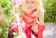 Fate – Saber (43)