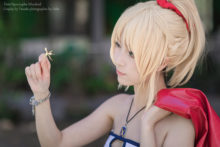 Fate – Saber (73)