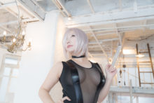 Fate – Saku – Shielder (180)