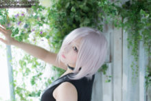 Fate – Saku – Shielder (50)