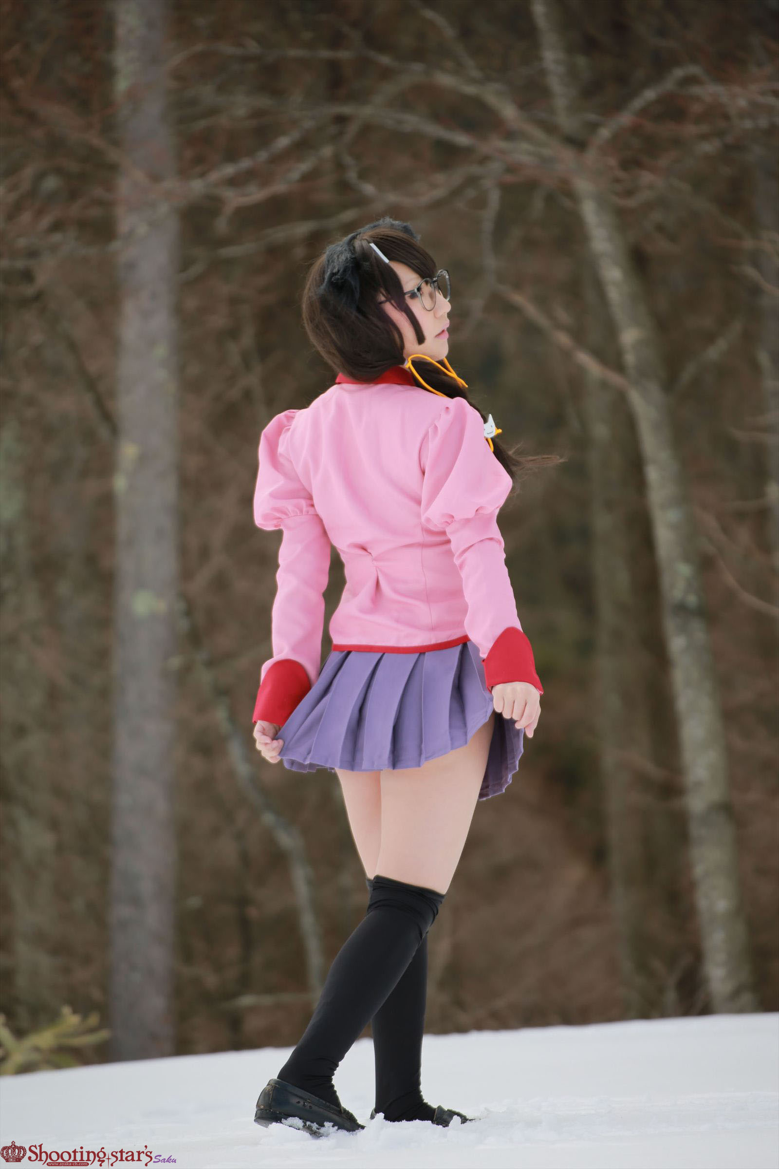 Bakemonogatari – Saku – Hanekawa Tsubasa
