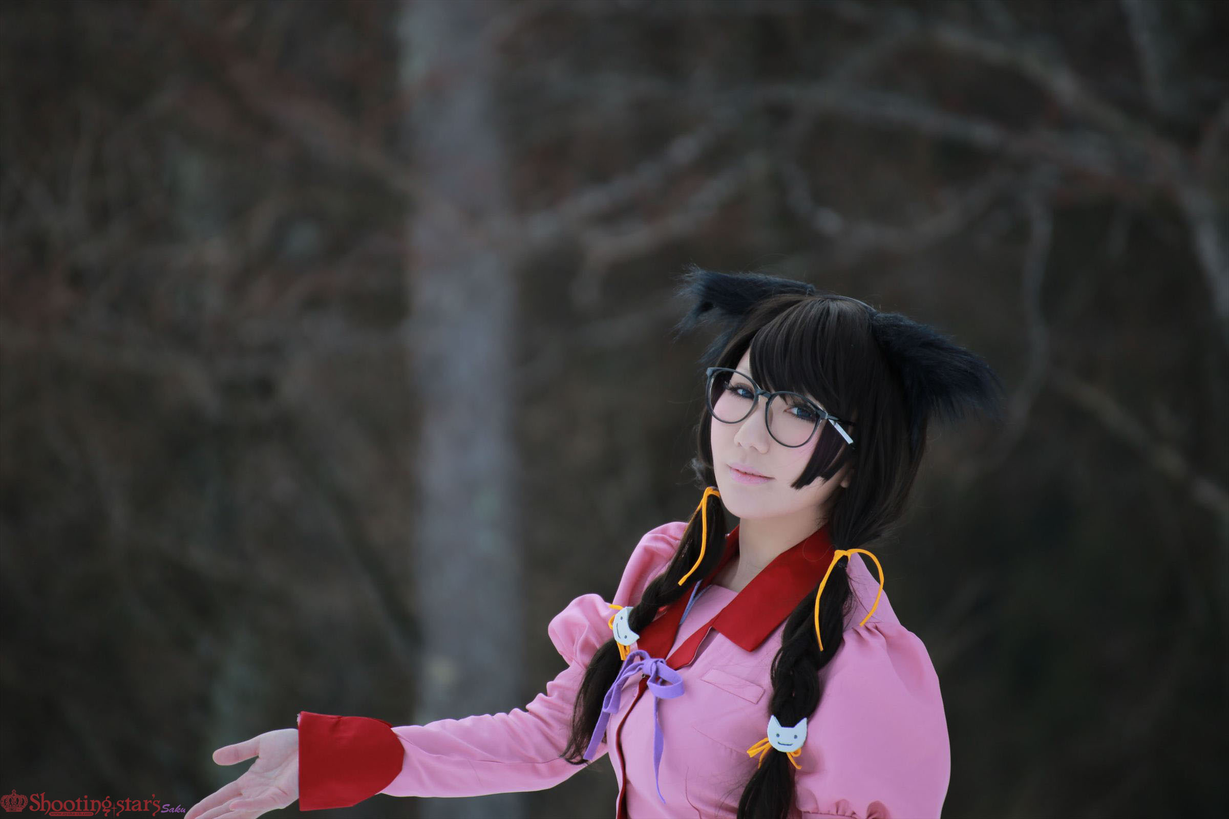 Bakemonogatari – Saku – Hanekawa Tsubasa