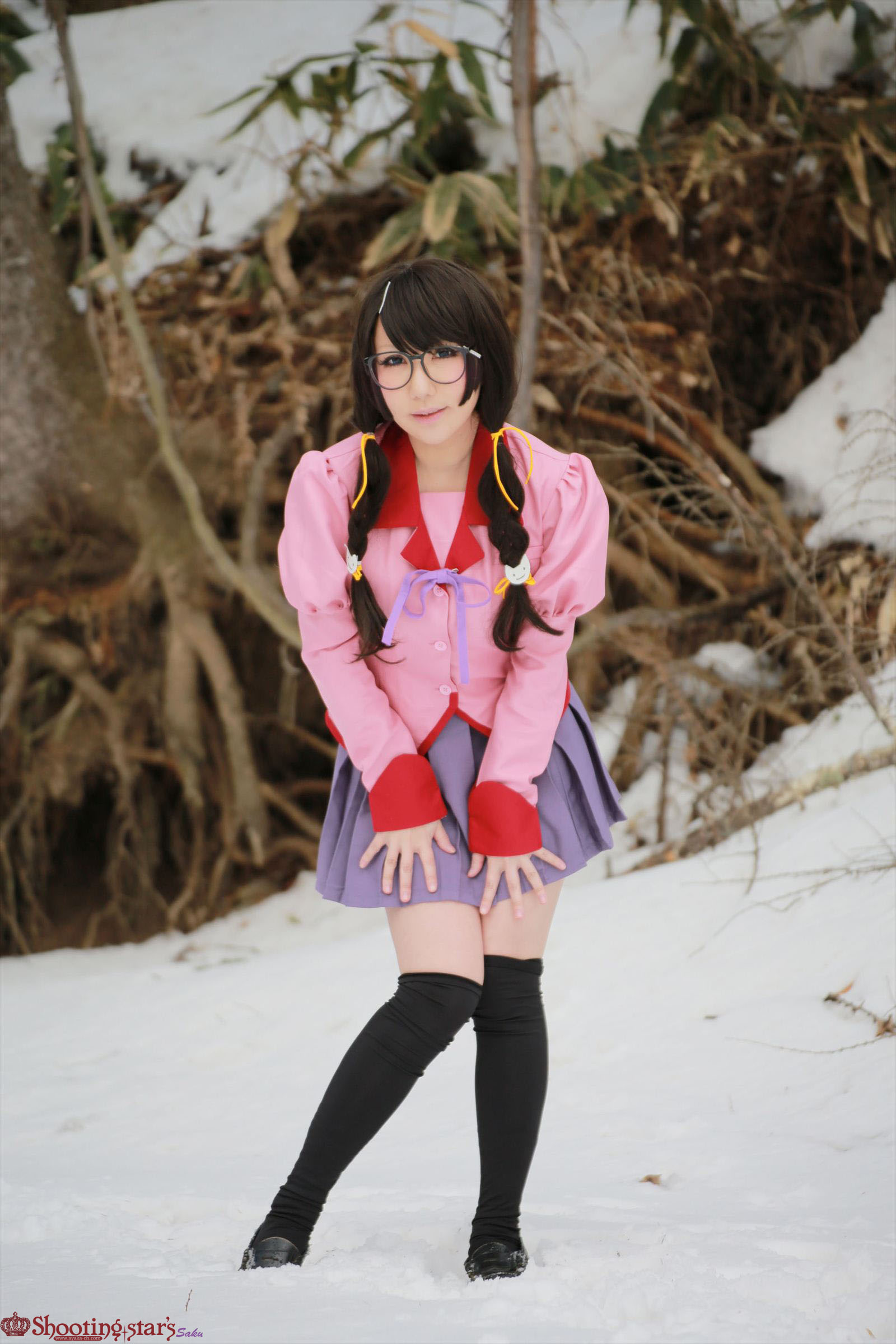 Bakemonogatari – Saku – Hanekawa Tsubasa