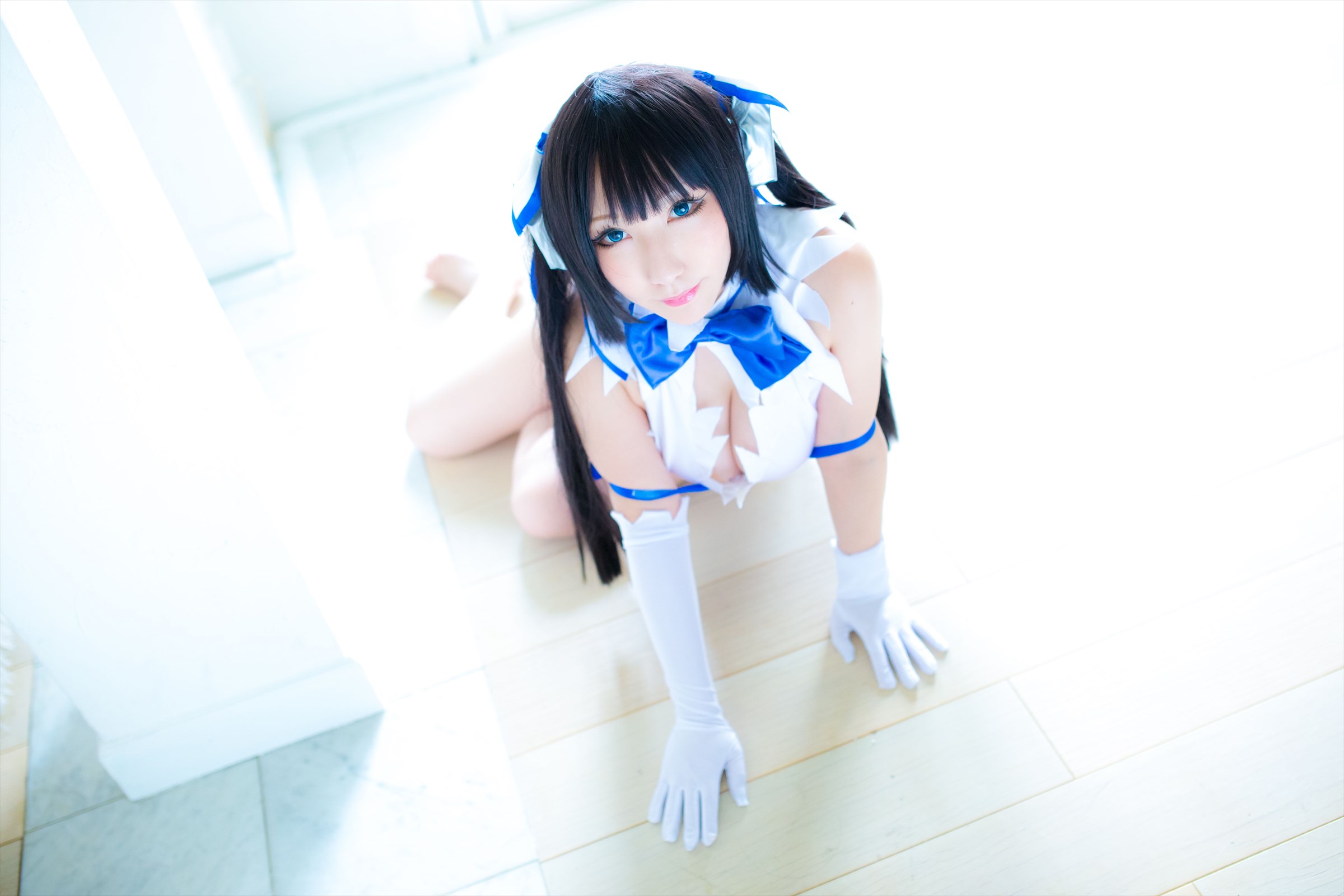 Danmachi – Saku – Hestia