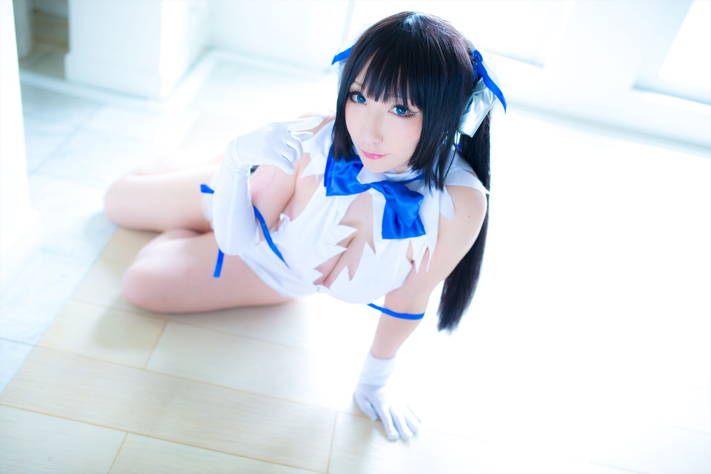 Danmachi – Saku – Hestia