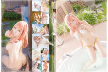 DoA – Saku – Honoka (1)