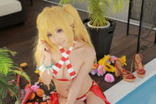 Fate – Momoiro Reku – Saber (190)
