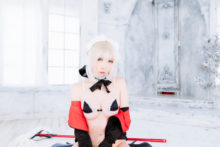 Fate – Momoiro Reku – Saber (330)