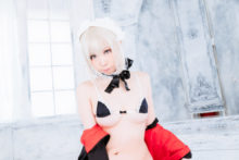Fate – Momoiro Reku – Saber (334)