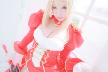 Fate – Saku – Saber (101)