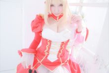 Fate – Saku – Saber (106)