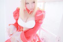 Fate – Saku – Saber (108)