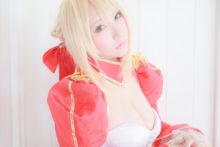 Fate – Saku – Saber (116)