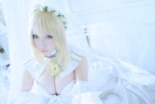Fate – Saku – Saber (127)